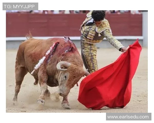 足球明星的华丽背后那些令人捧腹的搞笑瞬间与讽刺故事 足球明星的华丽背后那些令人捧腹的搞笑瞬间与讽刺故事